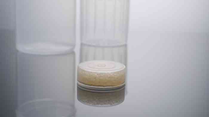 Capsule for cleaning hearing aids