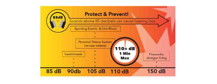 protect & prevent decibel chart