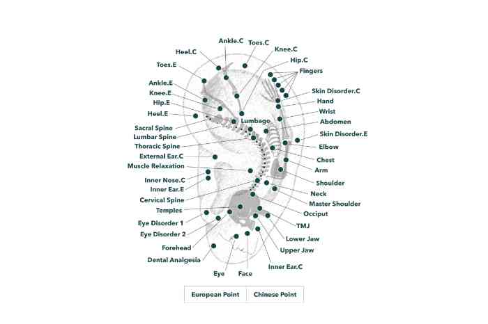 ariculotherapy points