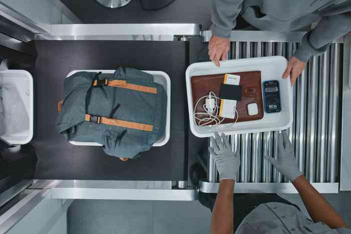 Airport security check