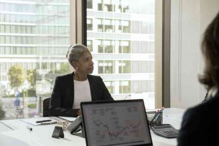 Elderly woman showing data during a business meeting