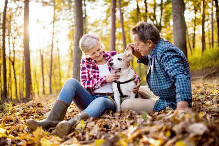 couple sitting in leaves with dog