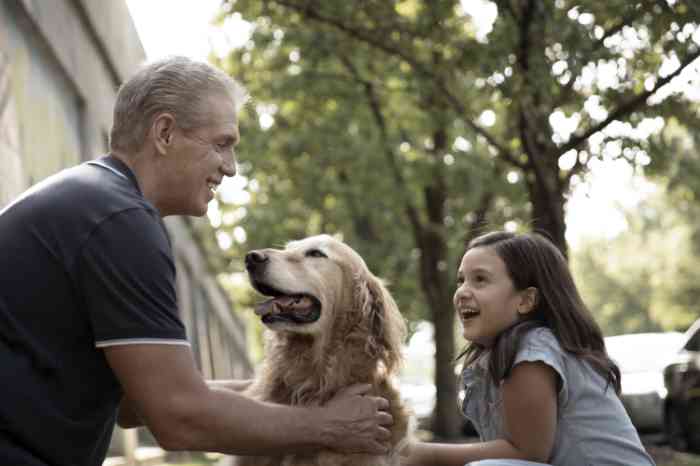 Grandfather petting dog with granddaughter