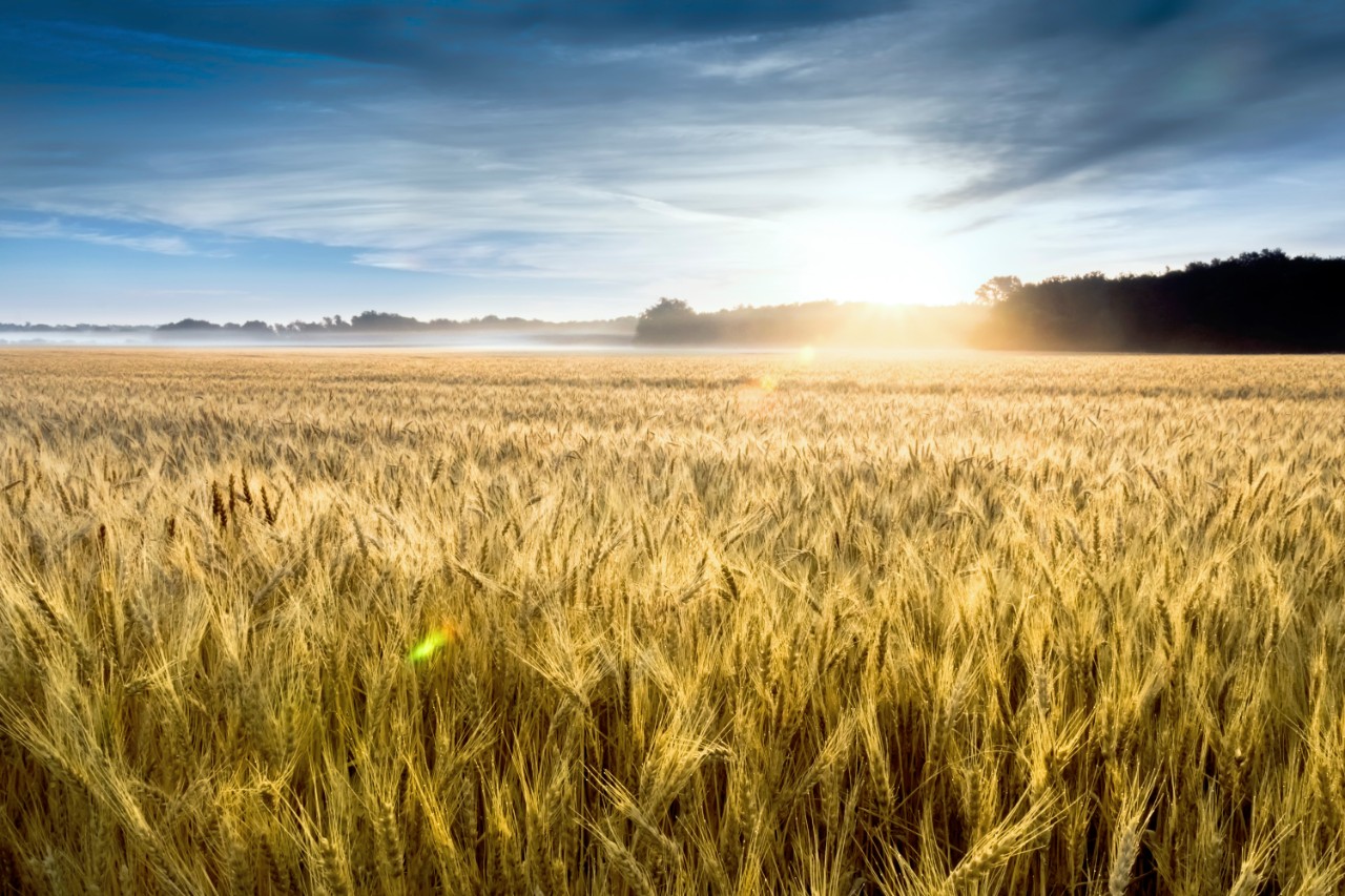 Kansas Hearing Centers Hearing Aids and Tests MiracleEar