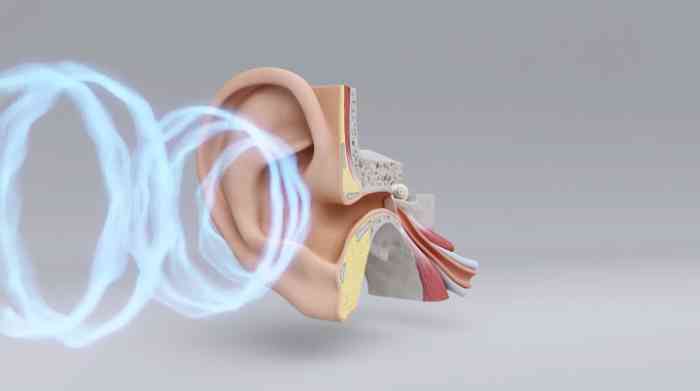 How hearing works in detail